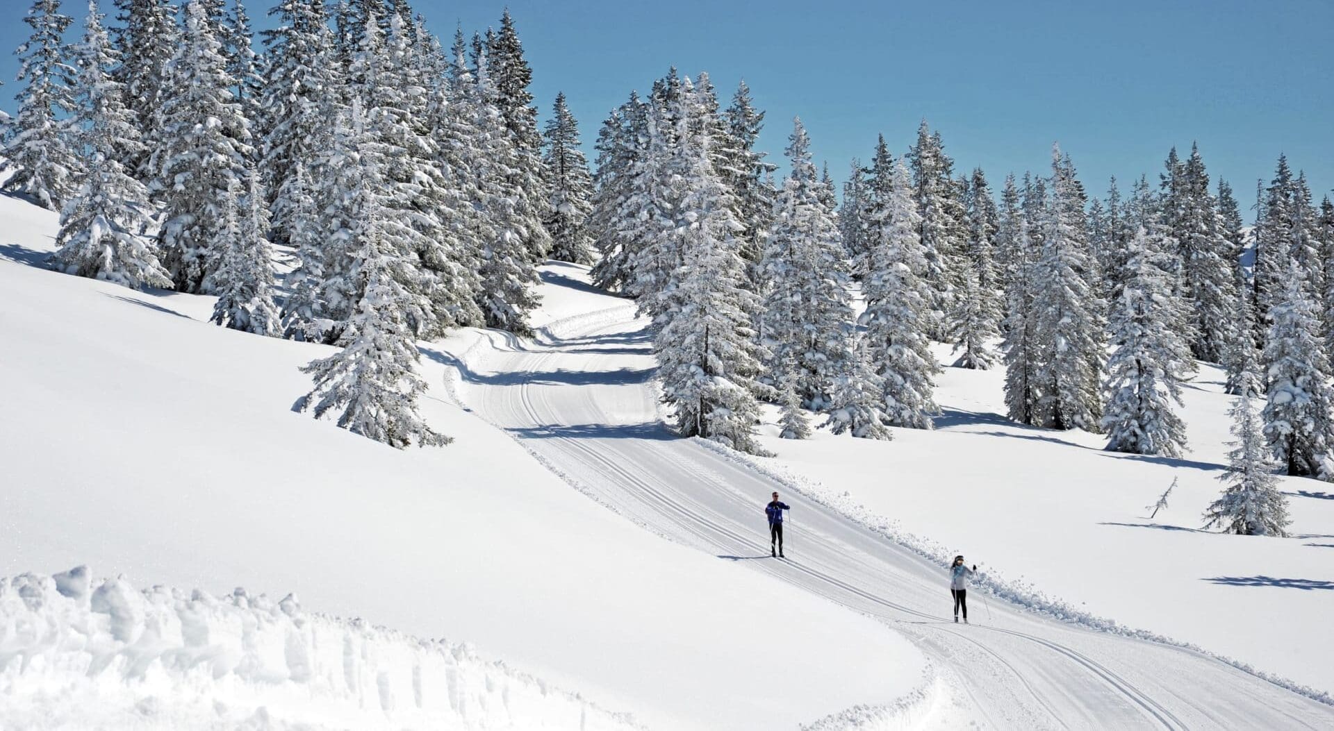 Langlauf Tourismusverband Radstadt Christian Schartner 3 Jpg Bearbeitet 3