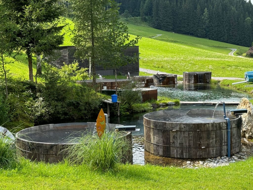 Fischteiche, Fischzucht - Hotel Der Stieglerhof in Radstadt