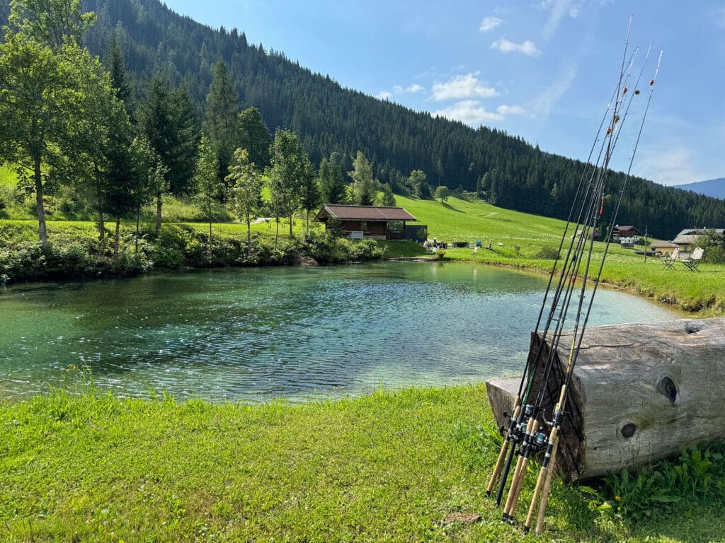 Fischteiche, Fischzucht - Hotel Der Stieglerhof in Radstadt